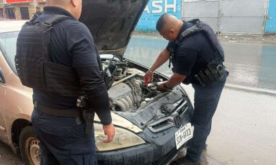 Atienden 130 reportes relacionados con las lluvias