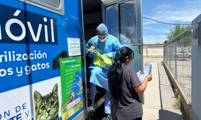 Esterimóvil ofrecerá esterilizaciones gratuitas en Villa Juárez