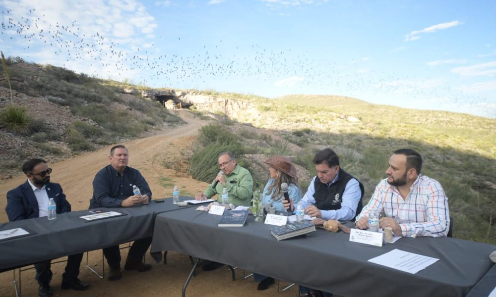 Congreso de Chihuahua promueve protección de murciélagos y biodiversidad