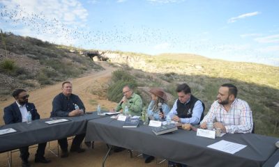 Congreso de Chihuahua promueve protección de murciélagos y biodiversidad