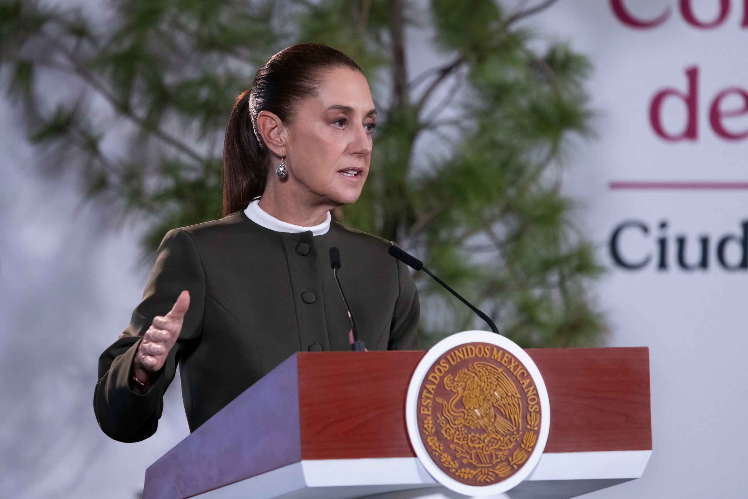 Sheinbaum resalta avances del programa Sembrando Vida en México