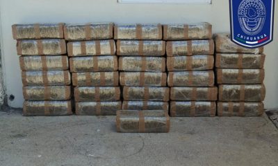 Aseguran 160 kilogramos de marihuana en Guadalupe y Calvo