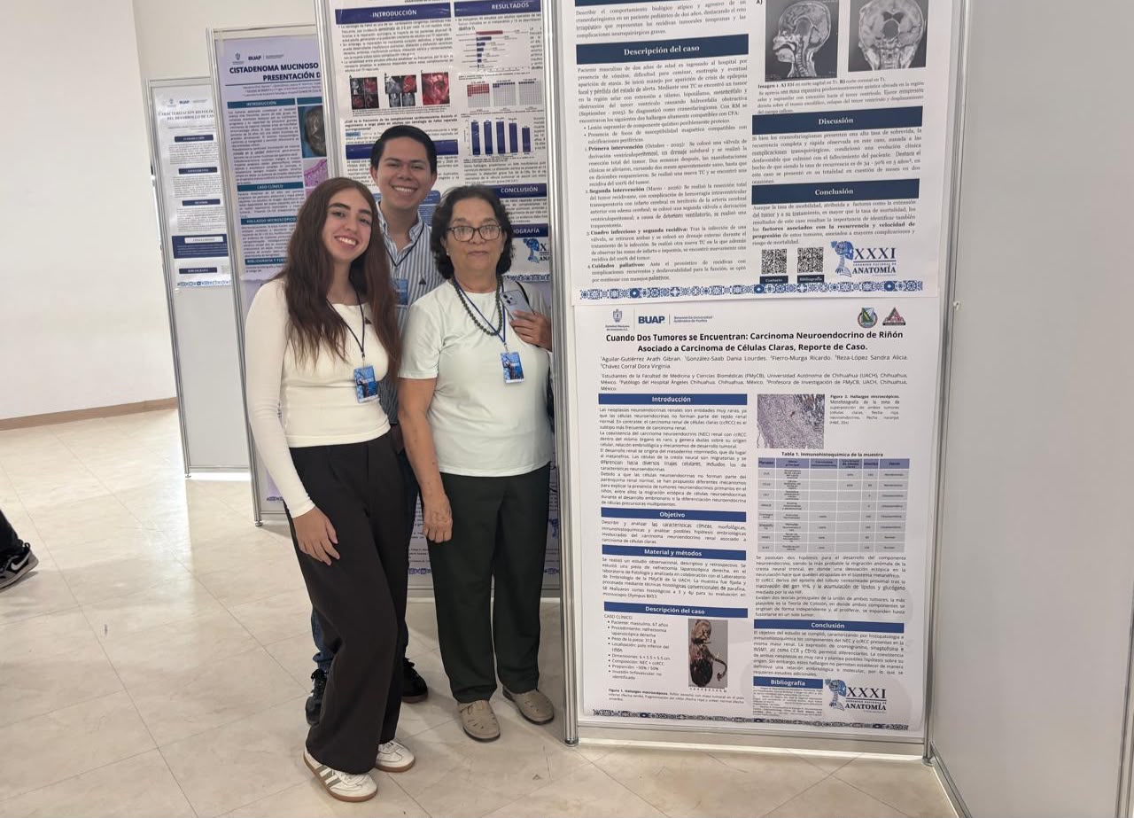 Estudiantes de la UACH destacan en Congreso Nacional de Anatomía