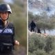 Colonos israelíes atacan a palestinos durante cosecha de olivas