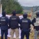 Cateos en Hidalgo resultan en un detenido y decomiso de drogas y armas