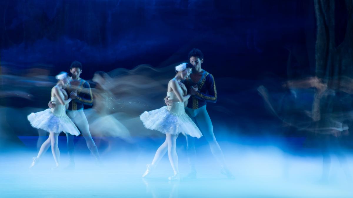 El lago de los cisnes regresa al Auditorio Nacional con nueva propuesta