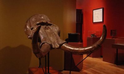 San Ildefonso presenta exposición sobre historia de la UNAM con 600 piezas