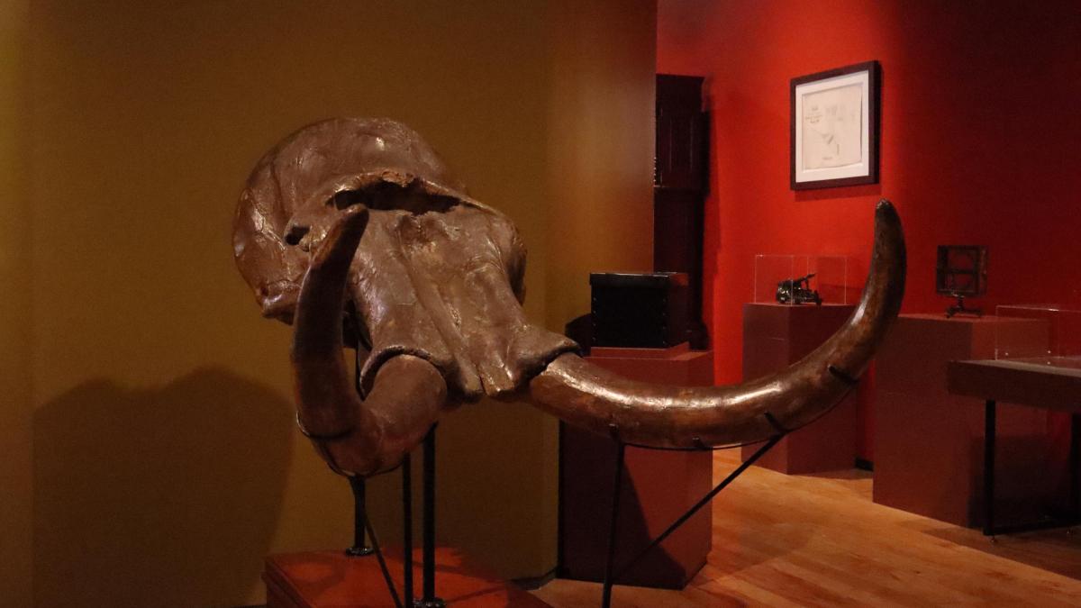San Ildefonso presenta exposición sobre historia de la UNAM con 600 piezas