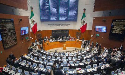 Senado aprueba reforma de nacionalidad única para candidatos a presidencias
