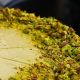 Receta de Cheesecake de Pistache para Disfrutar en Casa