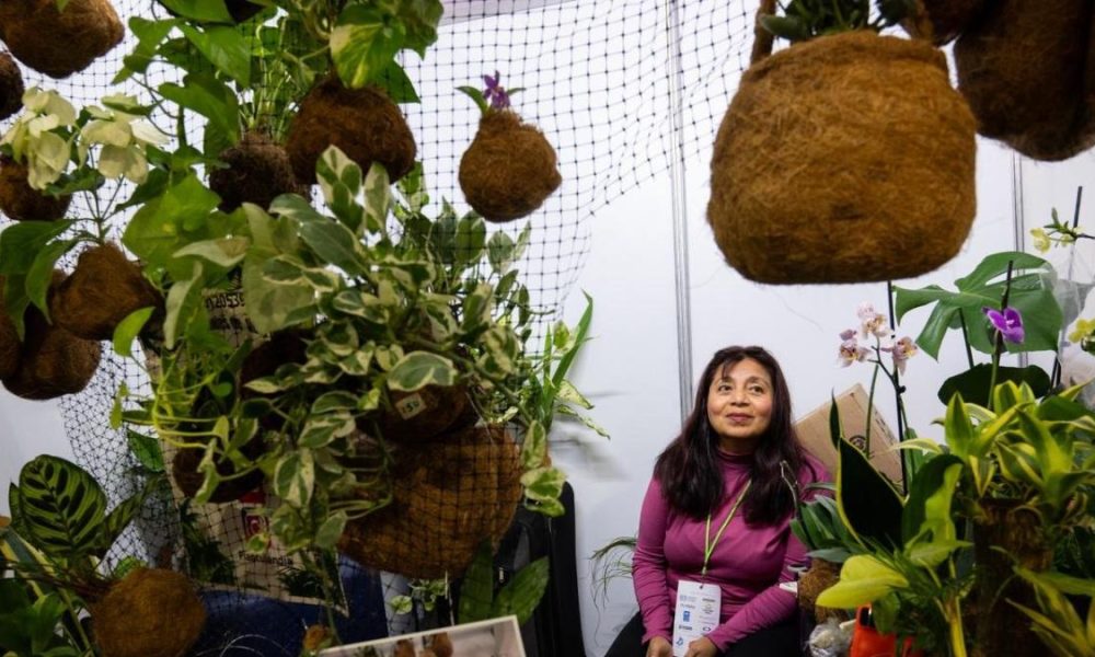 Cooperativas en CDMX enfrentan informalidad y fragilidad económica