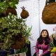 Cooperativas en CDMX enfrentan informalidad y fragilidad económica