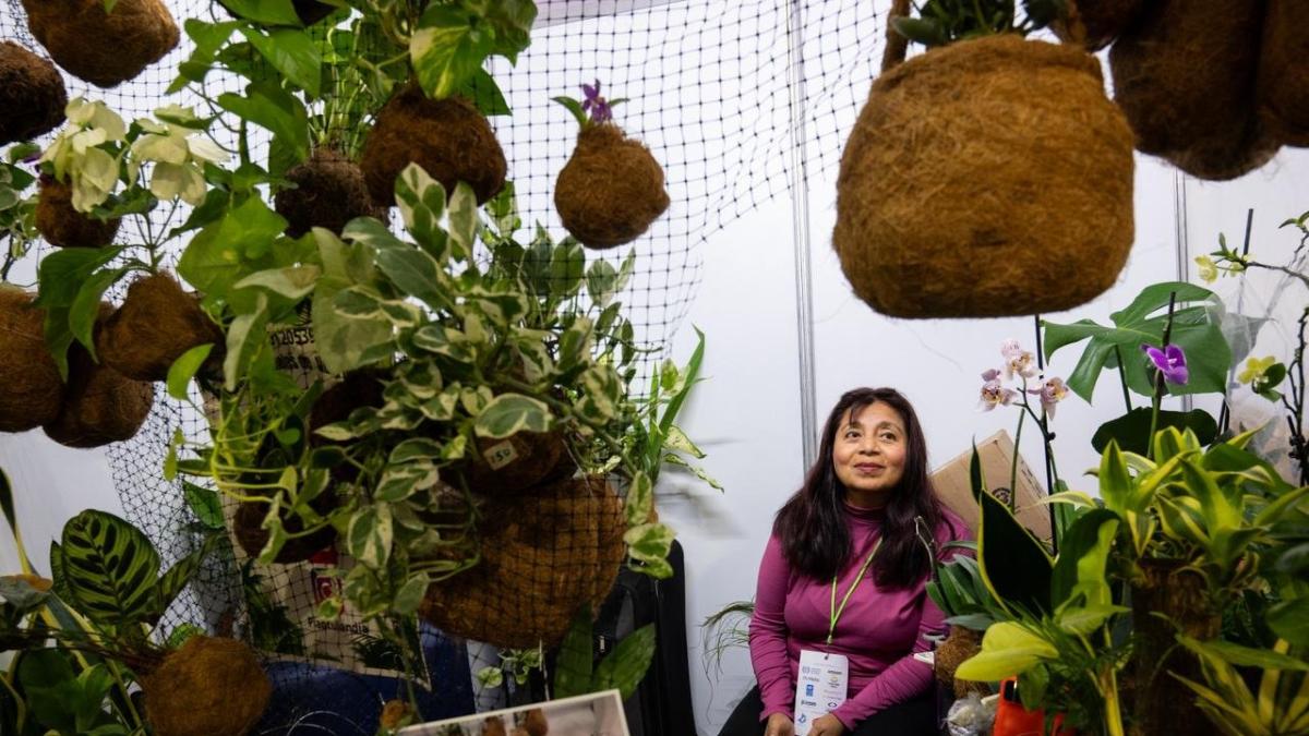 Cooperativas en CDMX enfrentan informalidad y fragilidad económica