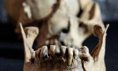 INAH recupera cerámica de diversas culturas en obras del tren México-Querétaro