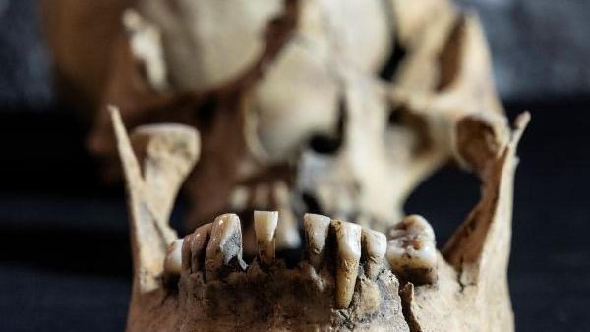 INAH recupera cerámica de diversas culturas en obras del tren México-Querétaro