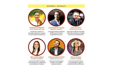 Movimiento Ciudadano inicia proceso para definir candidatos a elecciones de 2027