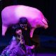Cuerpo Mutable destaca en programación dancística del 2026