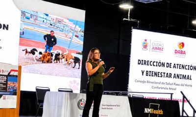 Presenta directora de Salud Municipal en conferencia binacional estrategia contra la rickettsiosis