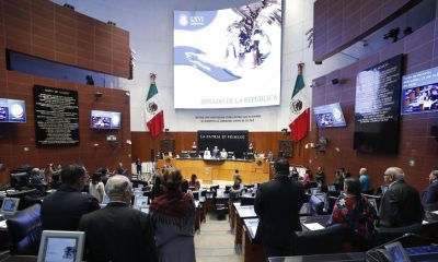 Senado no actualiza información en la Plataforma Nacional de Transparencia
