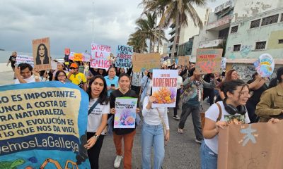 Activistas exigen suspensión de obras en el puerto de Veracruz