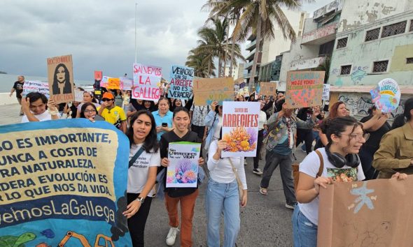 Activistas exigen suspensión de obras en el puerto de Veracruz