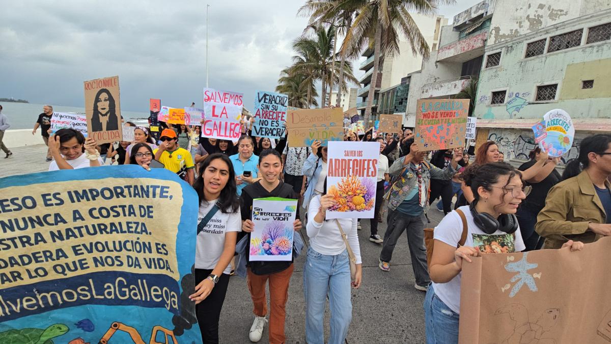 Activistas exigen suspensión de obras en el puerto de Veracruz