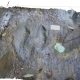 Descubren 50 huellas de dinosaurios en Michoacán