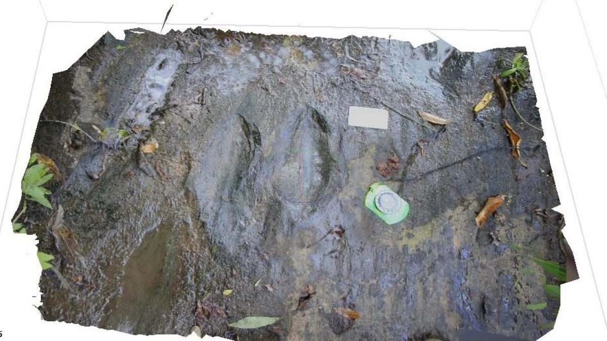 Descubren 50 huellas de dinosaurios en Michoacán