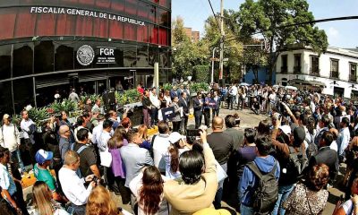 PAN denuncia a Guadalupe Taddei por seis delitos ante la FGR