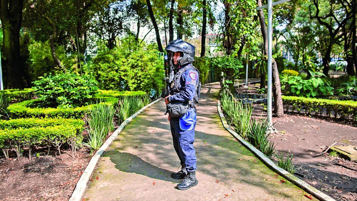 Envenenamiento de perros en CDMX: 16 casos y 9 denuncias en un año