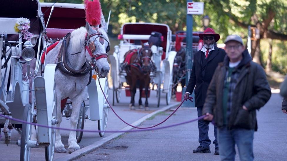 Conductores de carruajes temen por sus ingresos tras posible prohibición en Nueva York
