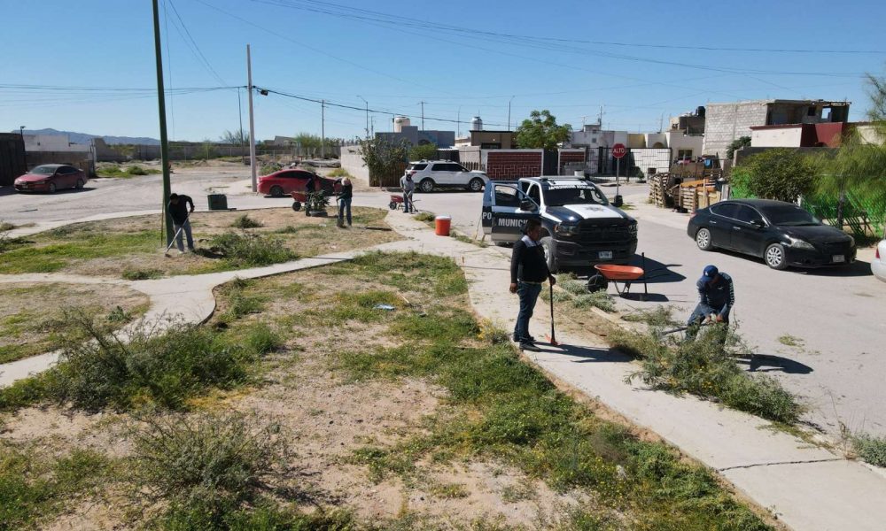 Realizan operativo de proximidad en Jardines de Roma