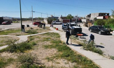 Realizan operativo de proximidad en Jardines de Roma