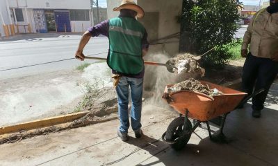 Limpia Municipio instalaciones donde estaba el hospital Guernica