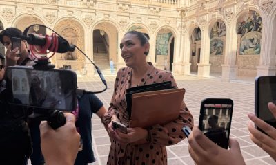 IEE exige pruebas ante acusaciones contra presidenta del INE