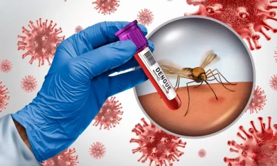 Aumentan a 15 los casos de dengue en Chihuahua durante 2026