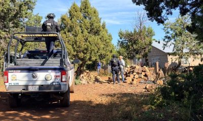 Operativo en Madera revela campamento y vehículos calcinados