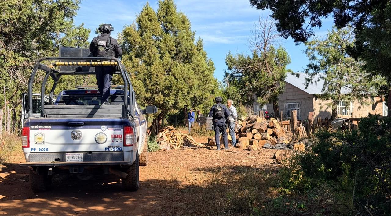 Operativo en Madera revela campamento y vehículos calcinados