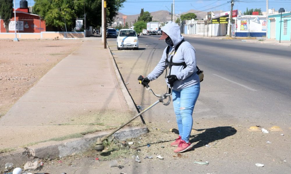 Se recolectan 229 toneladas de residuos en calles de Chihuahua
