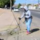 Se recolectan 229 toneladas de residuos en calles de Chihuahua