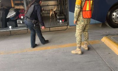 Refuerzan labores preventivas en la Central de Autobuses
