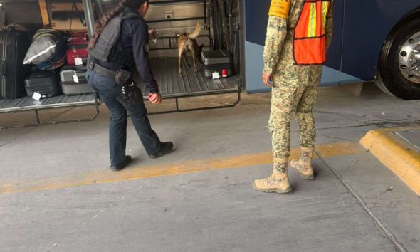 Refuerzan labores preventivas en la Central de Autobuses