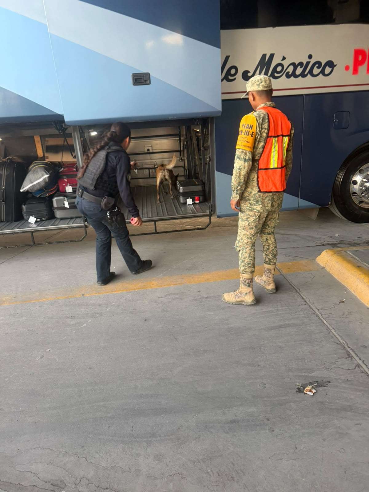 Refuerzan labores preventivas en la Central de Autobuses