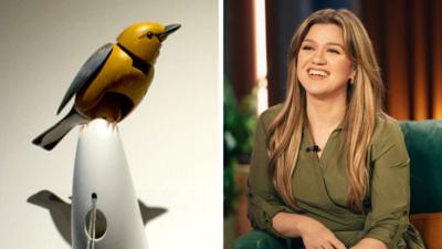 Kelly Clarkson y la controversia por un pájaro mecánico en Brooklyn