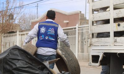 Programa Destilichadero en 8 colonias de Chihuahua del 5 al 10 de octubre