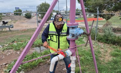 Rehabilitan garzas de agua tratada para riego en Chihuahua