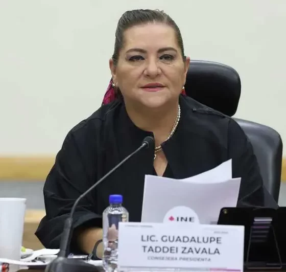 Guadalupe Tadei renuncia al INE por acusaciones de corrupción