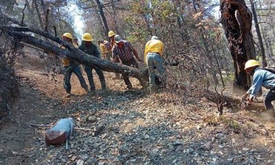 Chihuahua ocupa el sexto lugar en incendios forestales en 2026