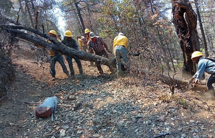 Chihuahua ocupa el sexto lugar en incendios forestales en 2026