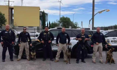 Grupo K-9 de la AEI brilla en competencia de narcóticos en El Paso